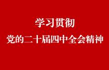 学习贯彻党的二十届三中全会精神